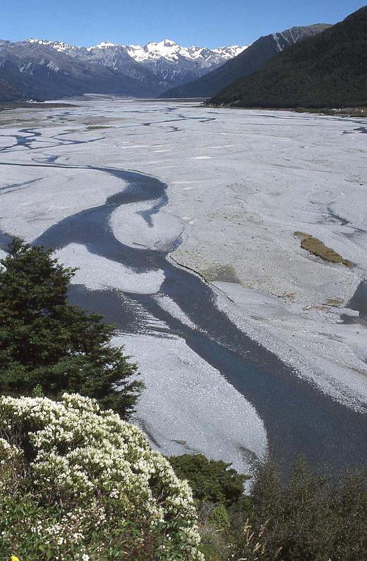 WT 0200 039-14 New Zealand.jpg